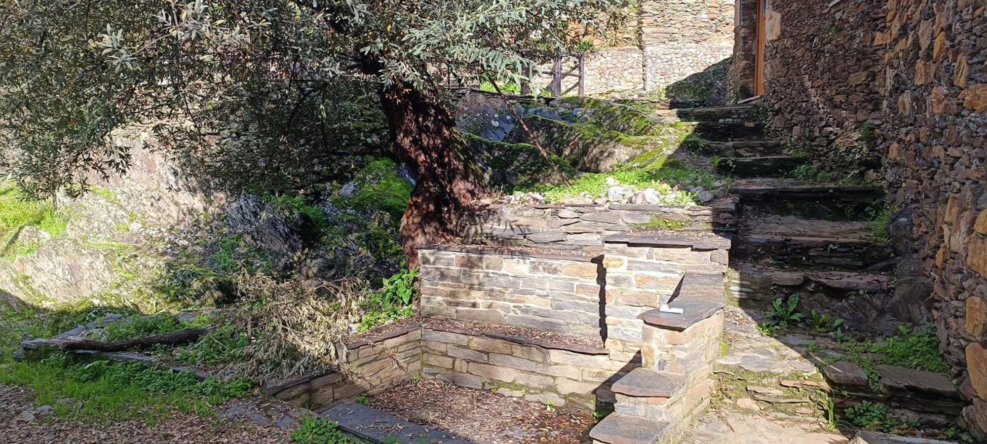 Mondalva Guesthouse Sao Pedro de Alva Dış mekan fotoğraf